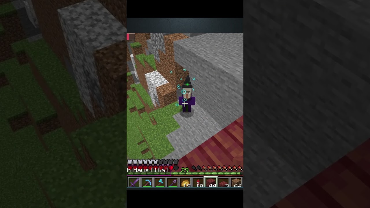 I hate witches!!! #mc #minecraft #hexe #witch #short #shorts #video #videos