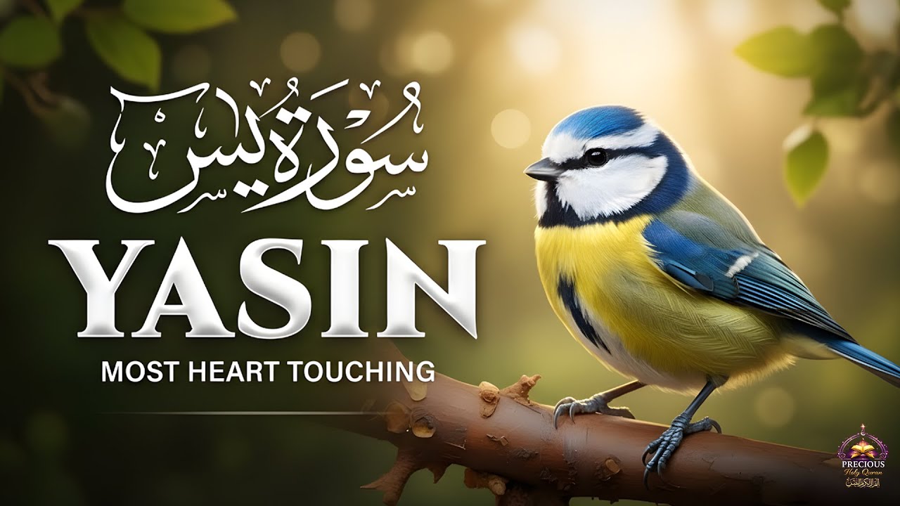 Surah Yasin (Yaseen) سورة يس | Peaceful Night Recitation for Tranquility & Protection