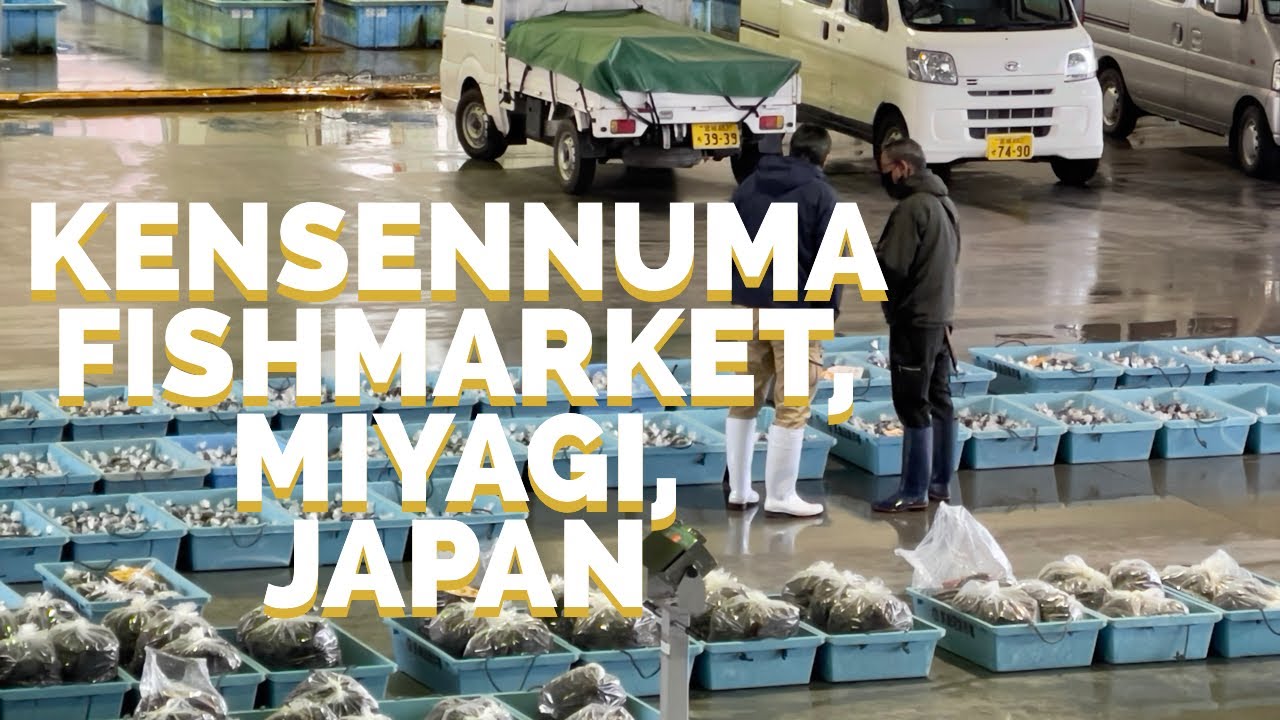Kesennuma Fish Market, one of the largest in Japan, Miyagi #travel