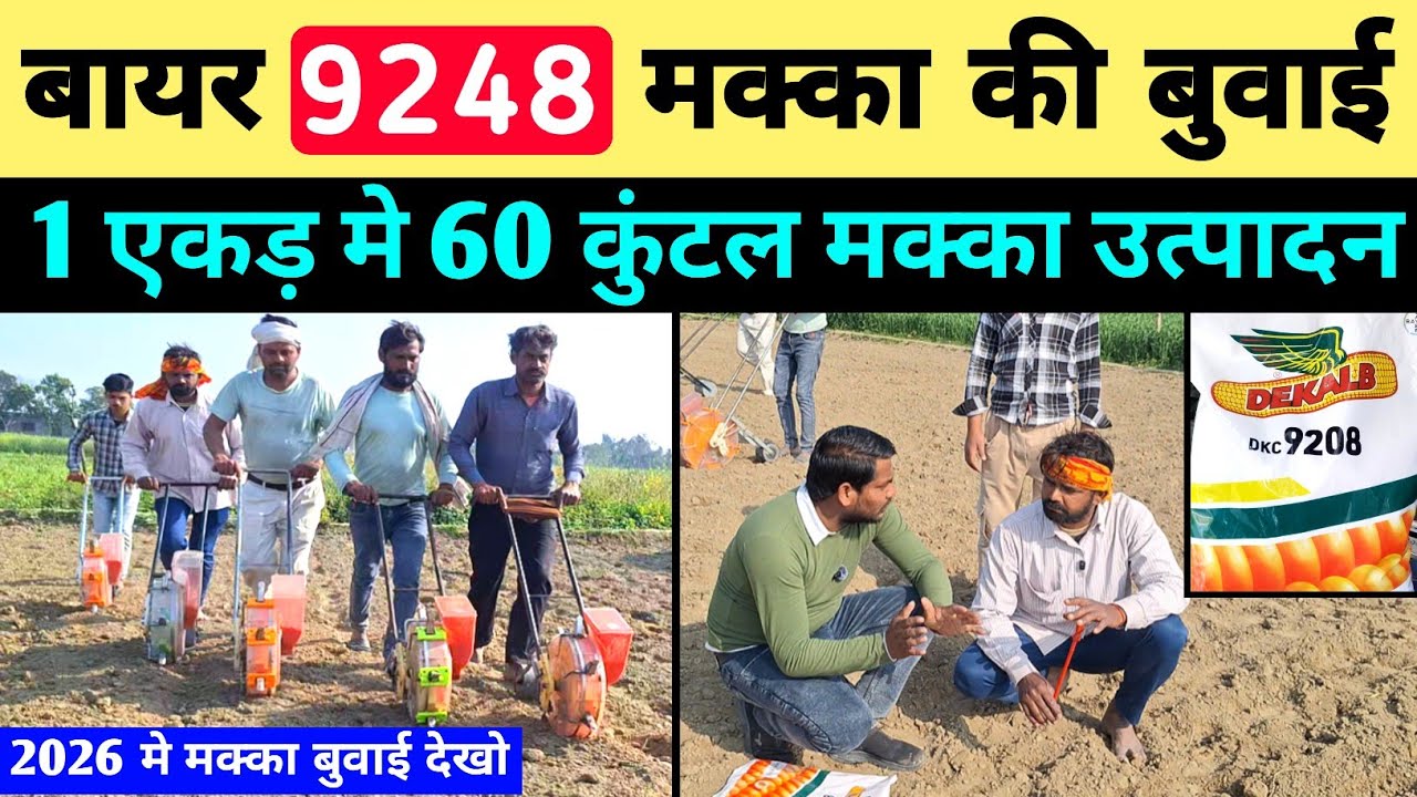 9248 मक्का की बुवाई कैसे करे / 9248 makka ki paidawaar /makka ki kheti /makka bone ki machine / 9248