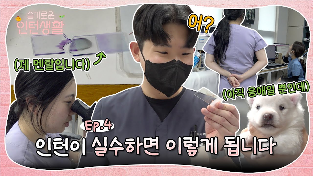 들어온 지 한 달 된 인턴 수의사가 실수하면 이렇게(?) 됩니다｜🐤슬기로운 인턴생활🌱 Wise lives of intern [Ep.4 멘탈 바사삭]