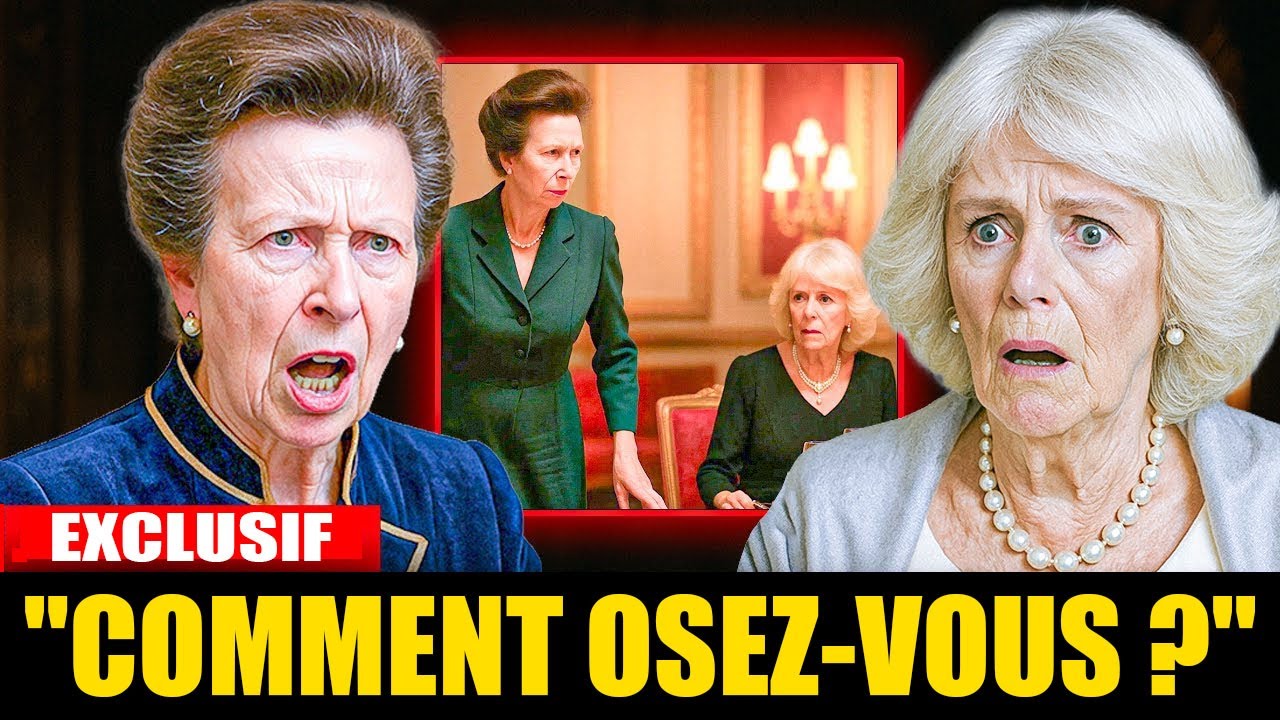 IL Y A 1 MINUTE : la princesse Anne quitte le dîner royal : « Assez des mensonges de Camilla ! »