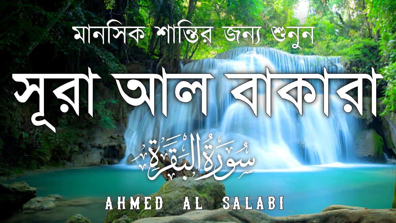 ঘরের উন্নতির জন্য সূরা বাকারা প্রতিদিন শুনুন I Surah Baqarah Full Quran Recitation | Ahmed Al Salabi