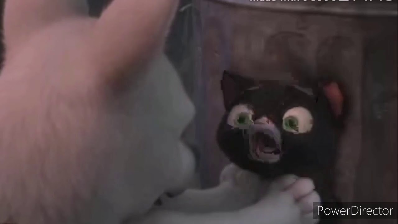 Вольт поймал кошку Варежку/Bolt caught the cat Varezhka