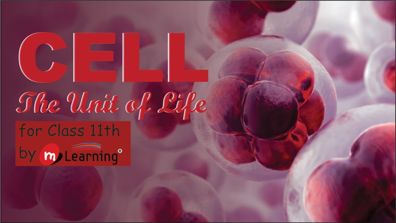 CELL THE UNIT OF LIFE: CELL STRUCTURE - 01 For Class 11th and AIPMT