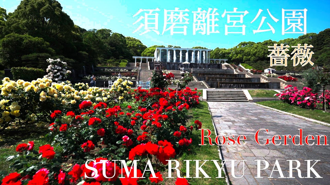 4K HDR 神戸散策 須磨離宮公園 / Kobe Suma Rikyu Park