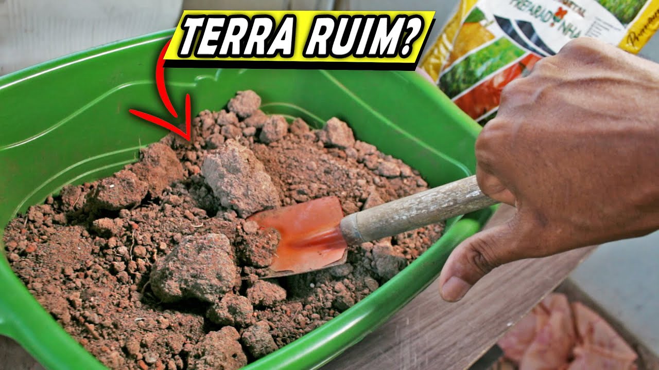 Como deixar qualquer terra boa para plantar! Simples e Rápido