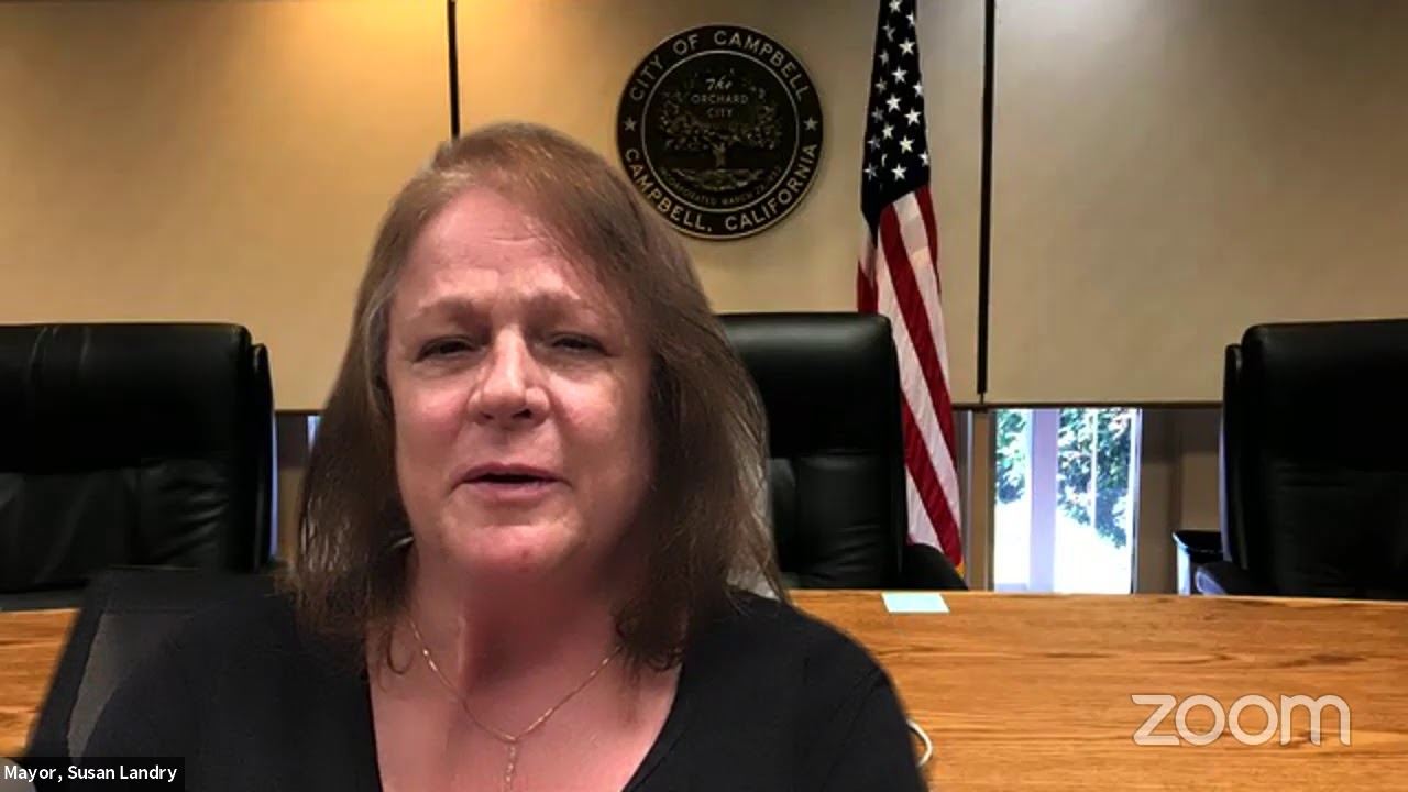August 18, 2020 - City Council Meeting (Public Meeting)
