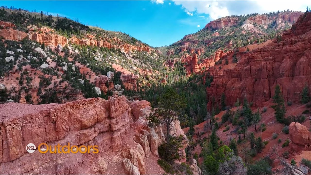 Four-wheeling Brian Head's Stunning Scenery with Utah ATV Rentals