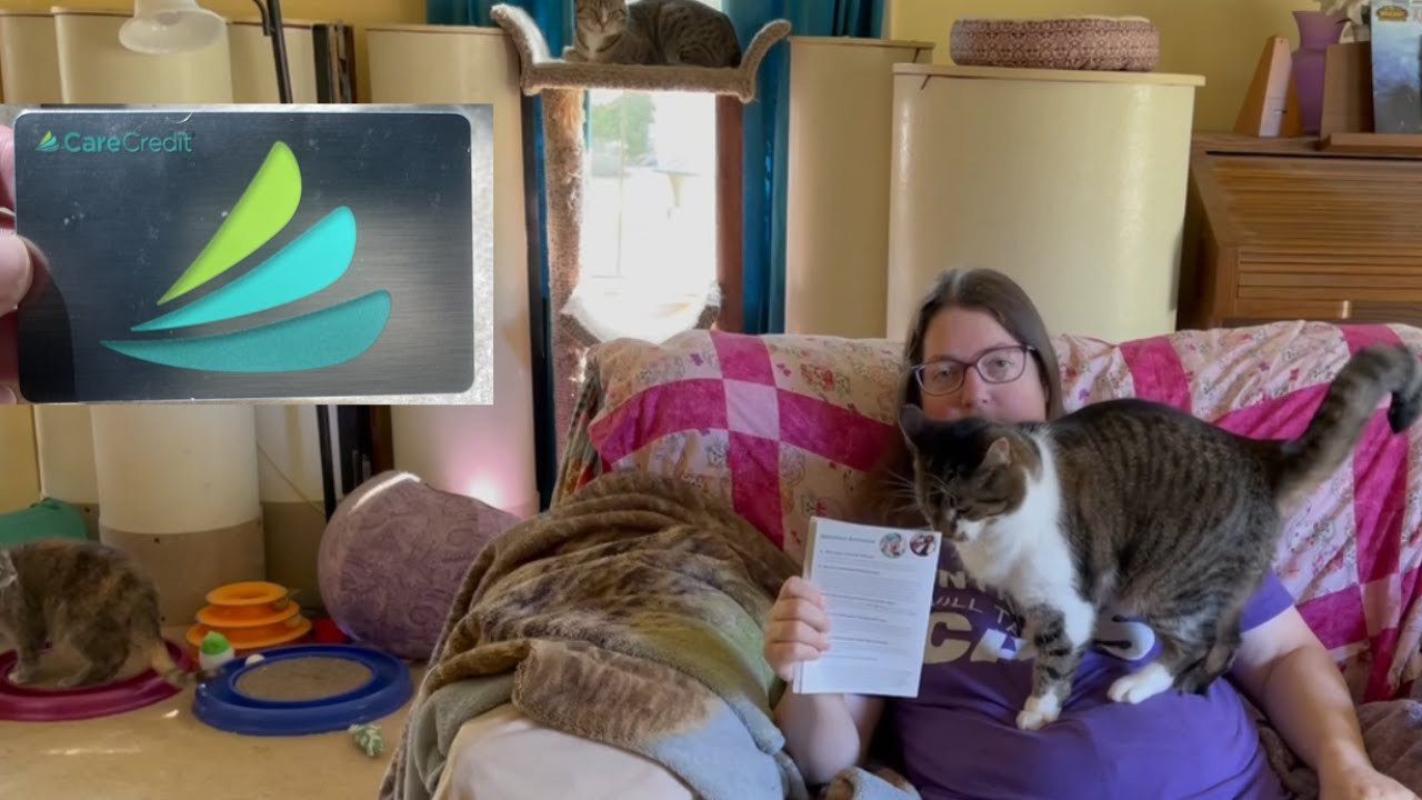 What You Need to Know BEFORE Using Care Credit at the Vet