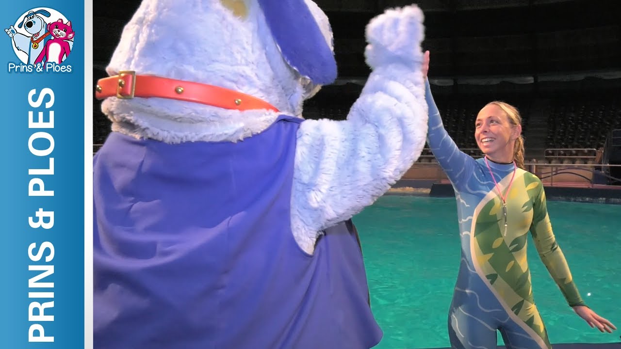 Prins & Ploes: Aflevering 18 - Een kijkje bij de dolfijnen