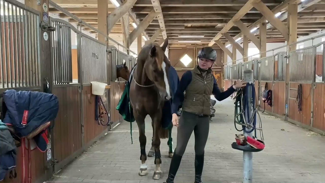 Boxenstopp bei EQUITANA's Firlefranz: Wie Firlefranz seine Freizeit genießt