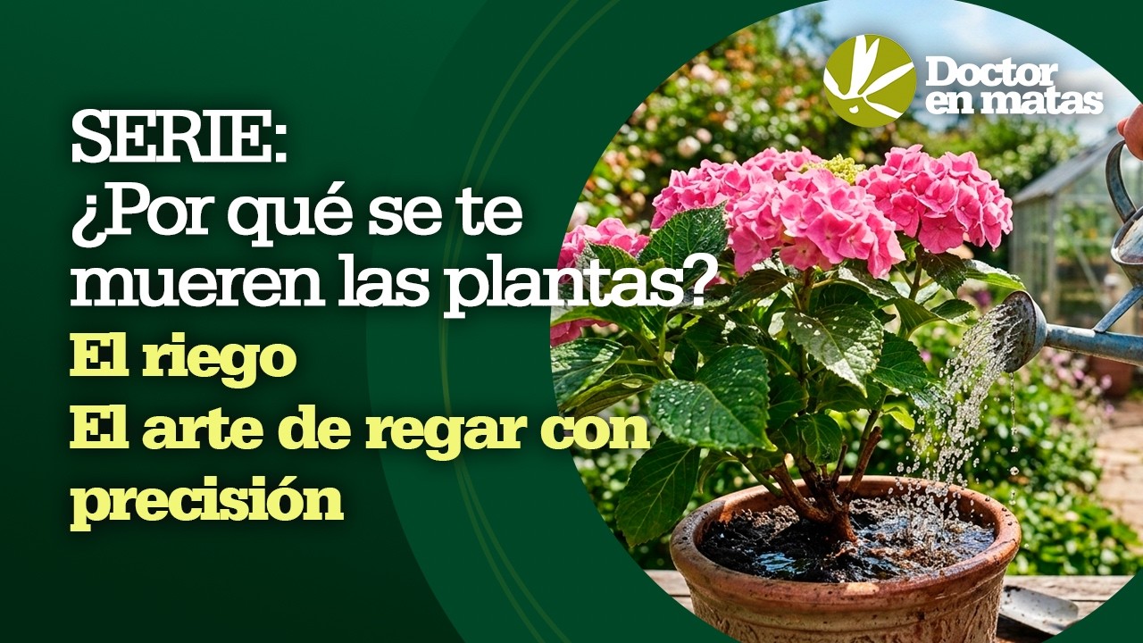 Regar o coleccionar macetas vacías: tú eliges