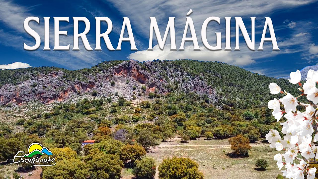 DE NORTE A SUR, CEREZOS EN FLOR, SIERRA MÁGINA.