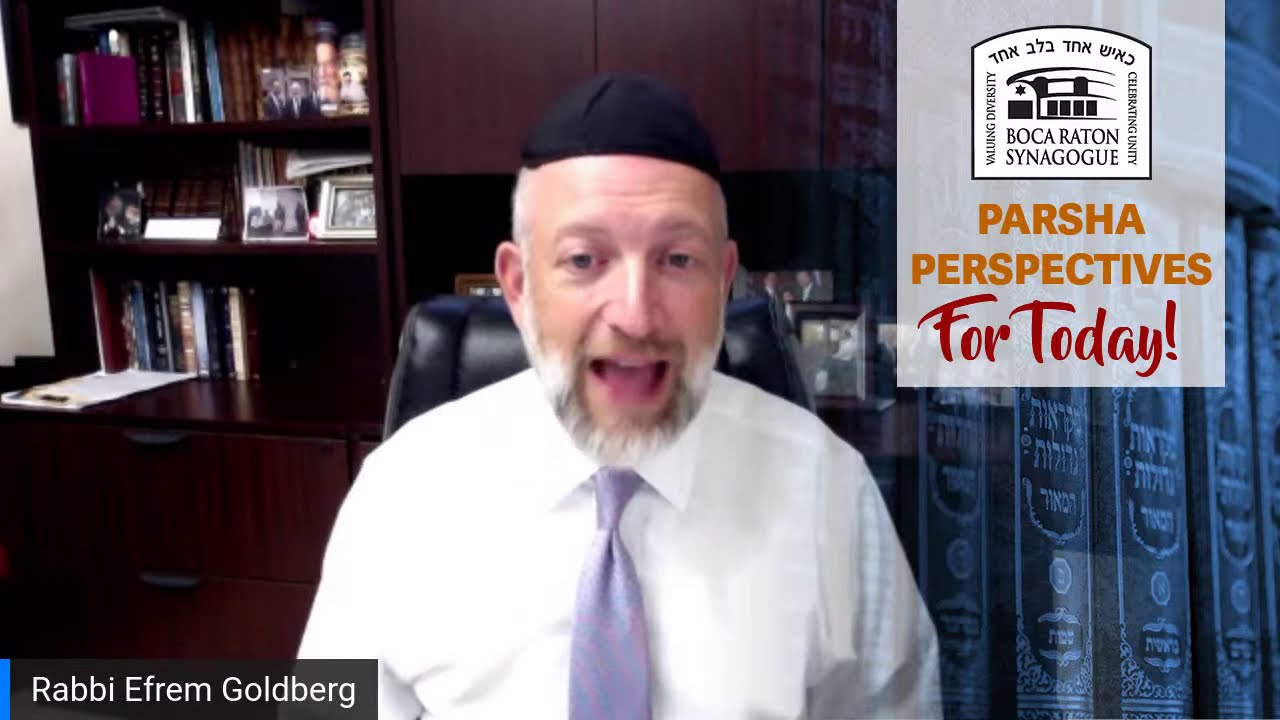 Parsha Perspectives for Today (Noach)