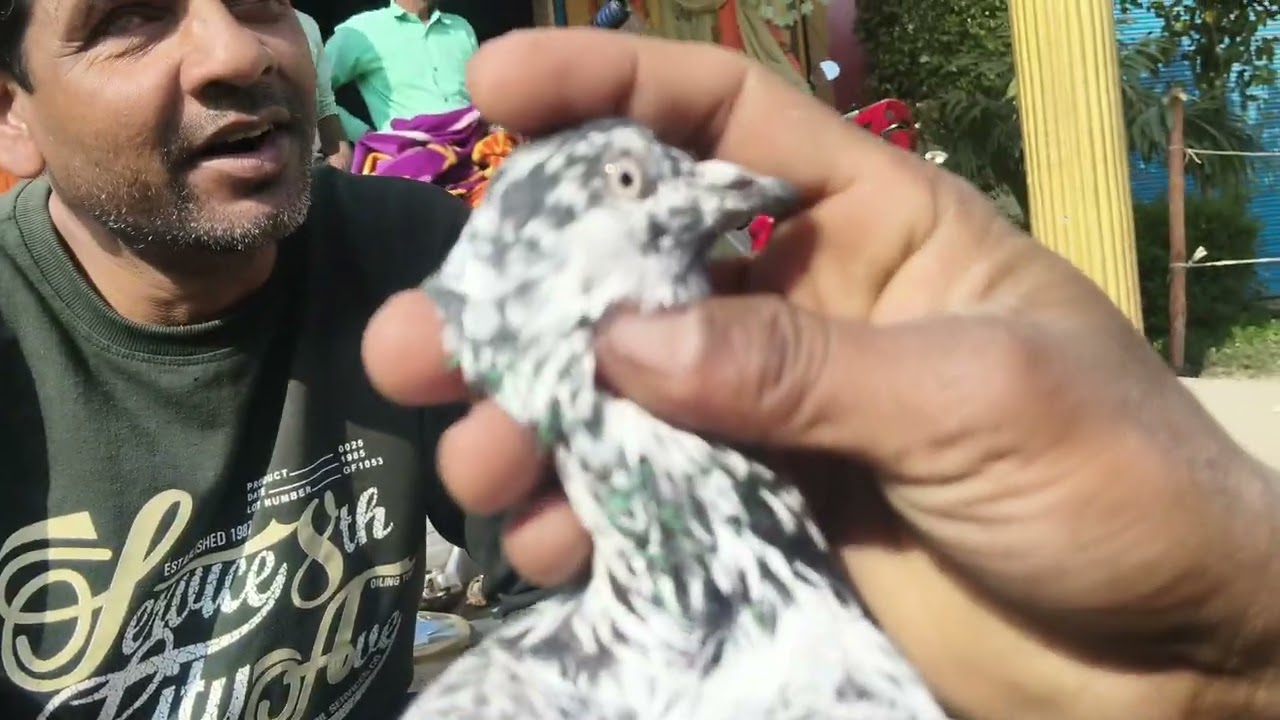 👍👍👍👍👍🕊️🕊️🕊️🕊️🕊️