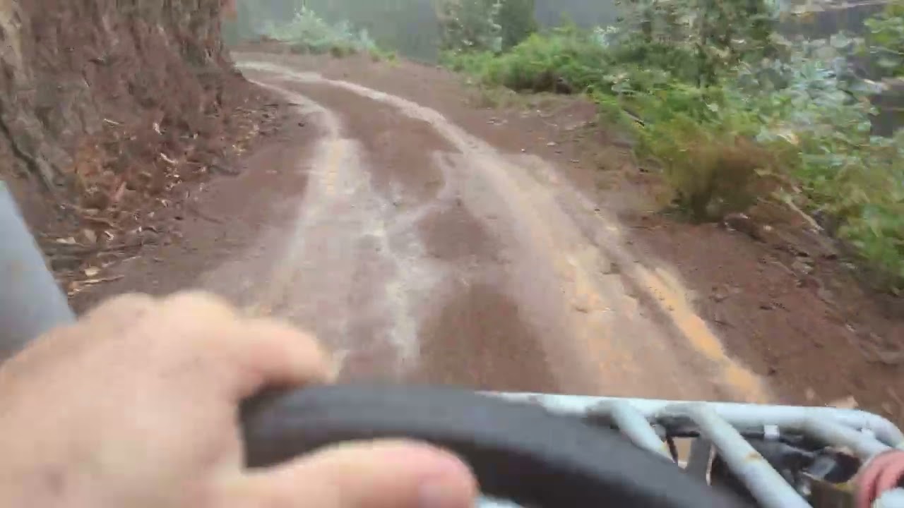 Buggy Madeira