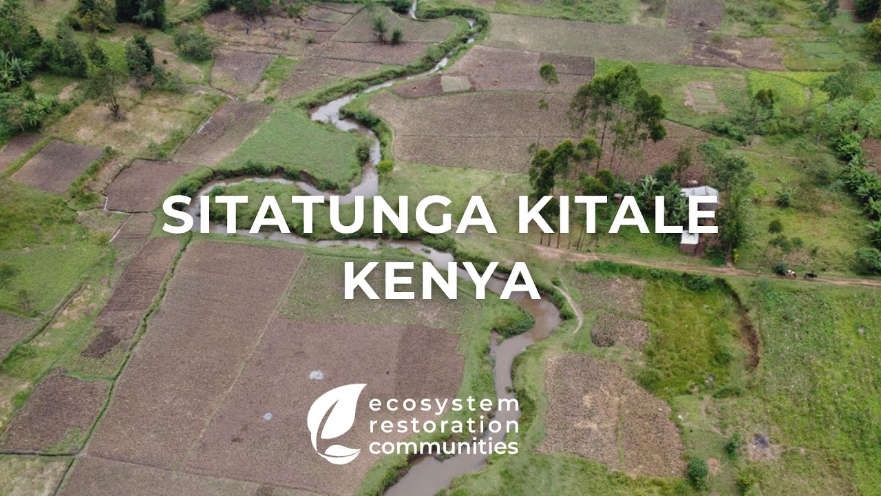 Sitatunga Kitale - Kenya