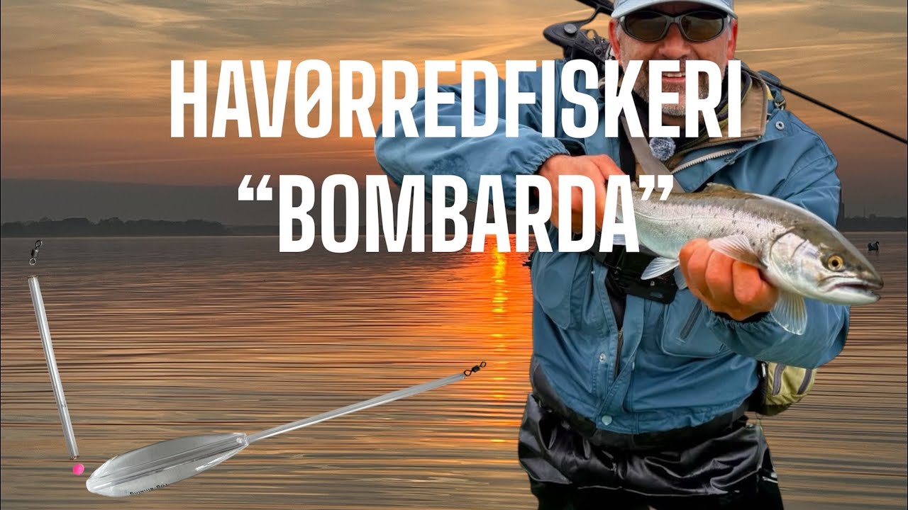 Havørred Fiskeri  