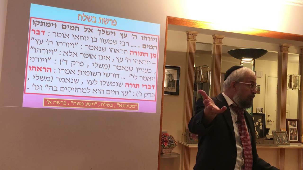 פרשת בשלח - המתקת מי מרה באמצעות ״עץ״ , והקשר ל