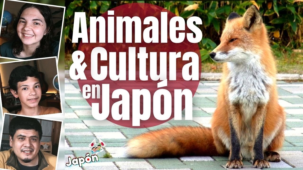 TOP JAPON 8 Animales en la Cultura JAPONESA / Tradición Historia y Mitología
