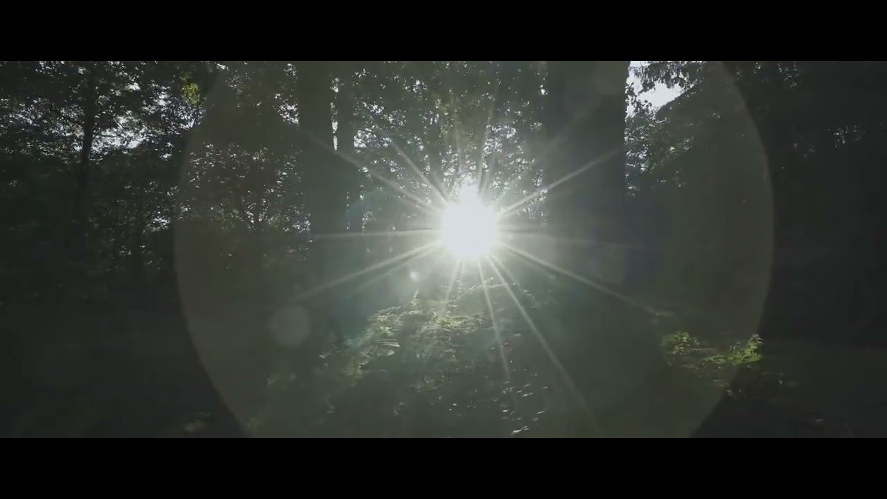 BICEP   GLUE Official Video