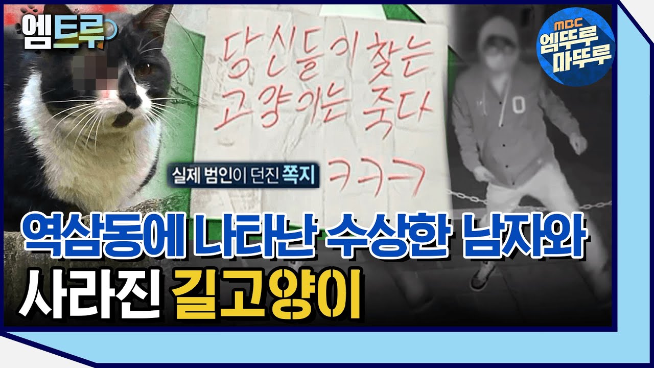 [실화탐사대] 역삼동 일대 길고양이를 노리는 남자 #엠뚜루마뚜루 #엠트루 MBC210410방송