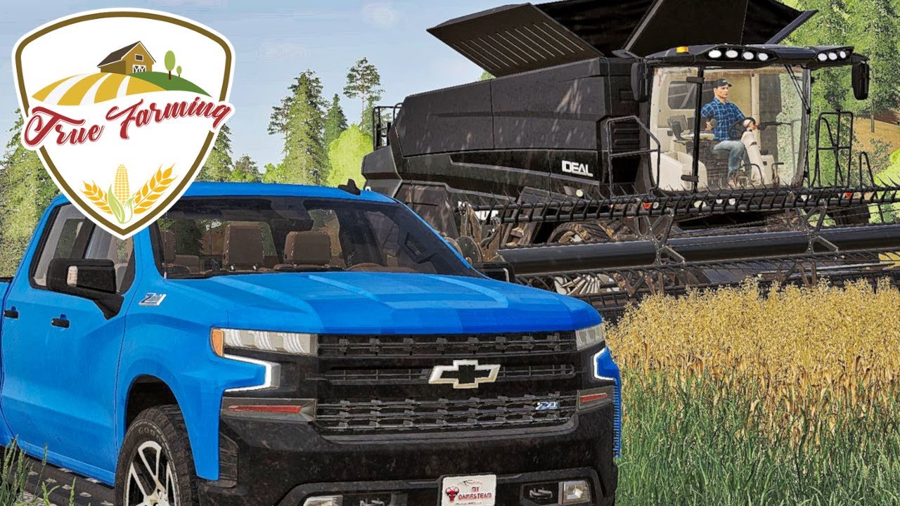 LS19 True Farming #1077 - SCHIMMELGEFAHR in den Futterproduktionen - Farming Simulator 19