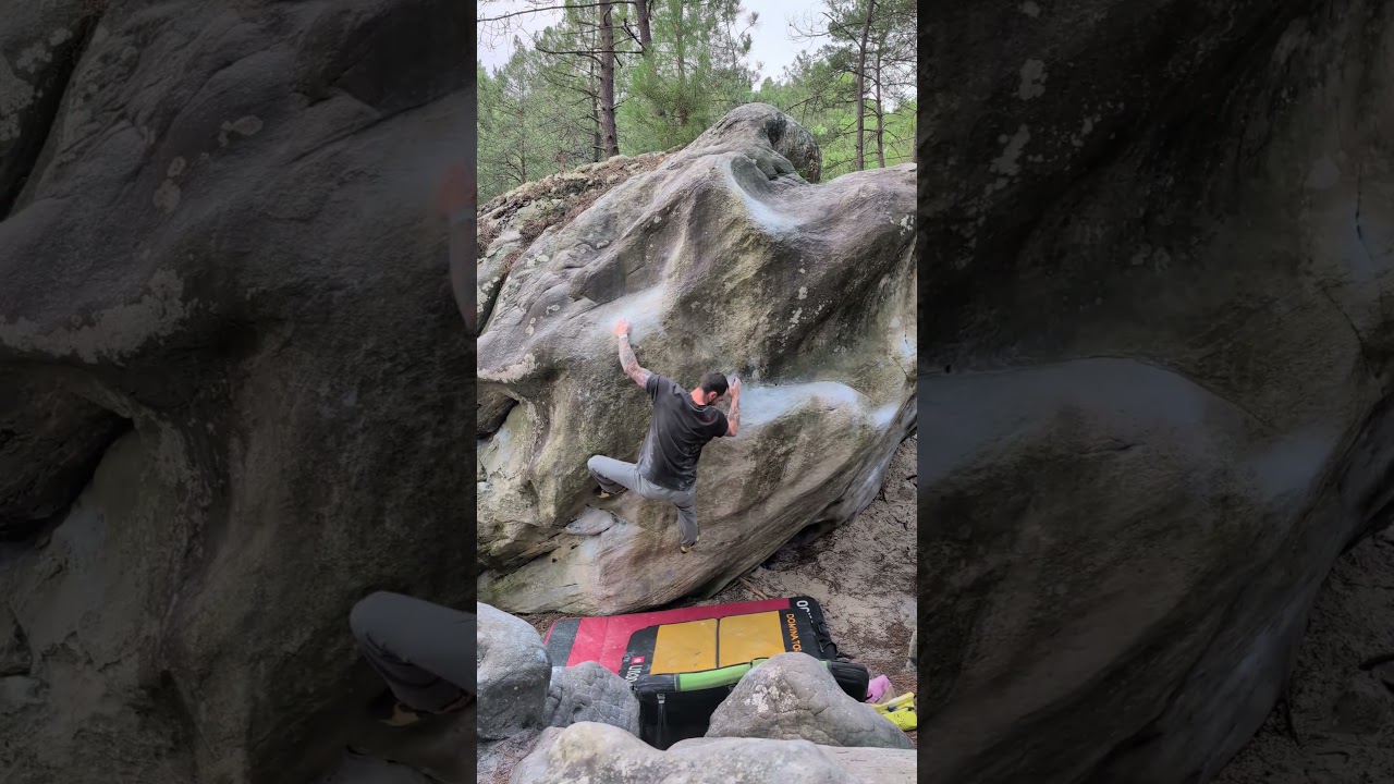 Bagheera f7c - Manoury, Fontainebleau