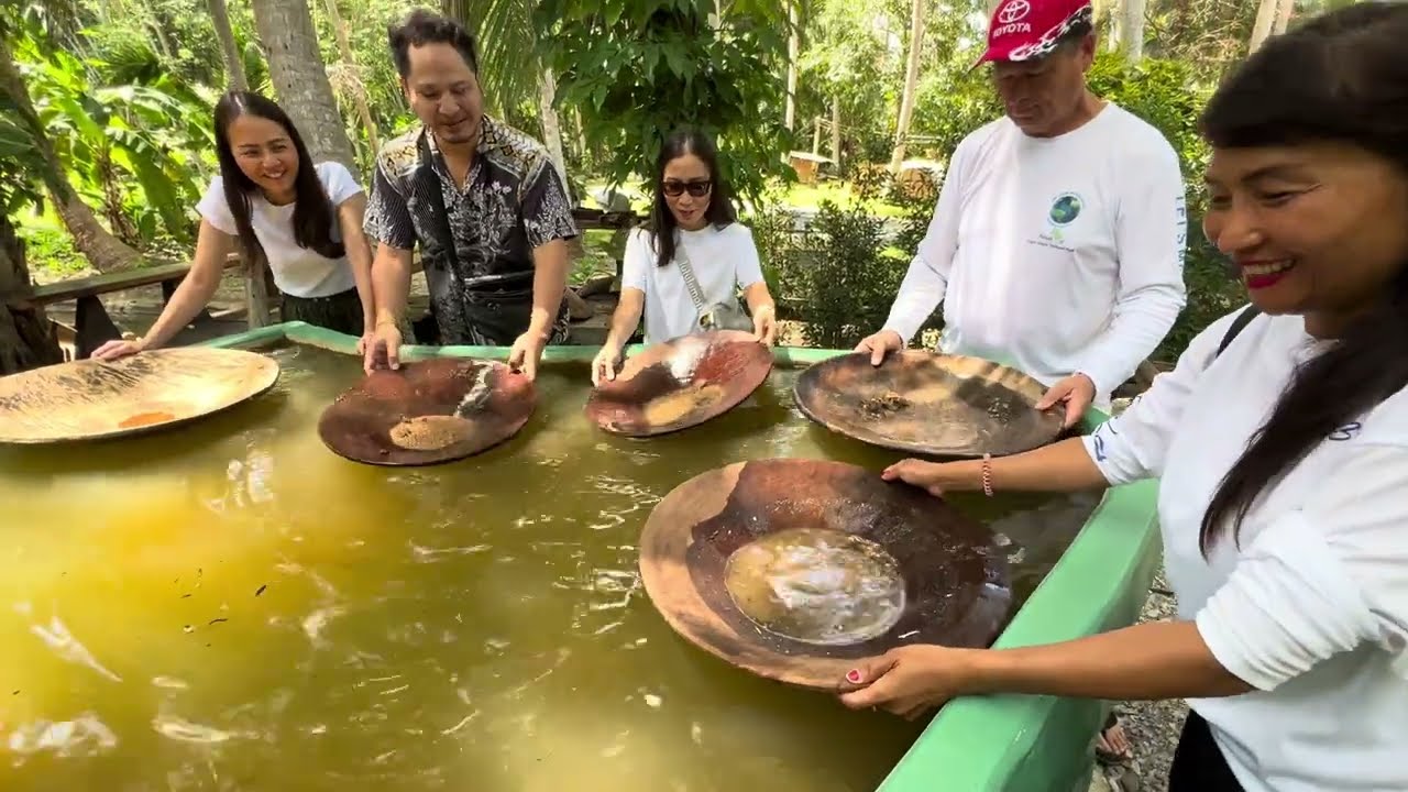 Gold Mining on Thailand