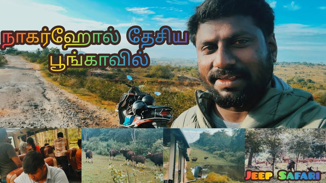 நாகர்ஹோலே புலிகள் காப்பகம் ஒரு சிறப்பான ஜீப் சபாரி |Subscribe @realbala3671 பண்ணுங்க #wildanimals 