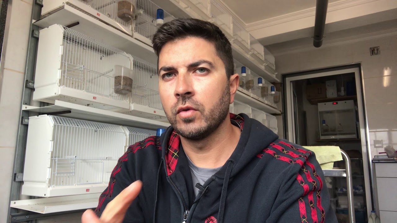Comedouros de Gaveta já conhecem??