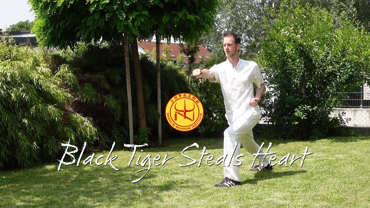 Black Tiger Steals Heart Set (2023)