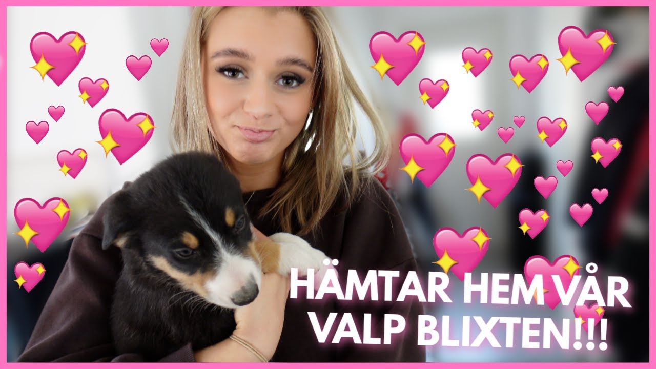 HÄMTAR HEM VÅR VALP BLIXTEN!!