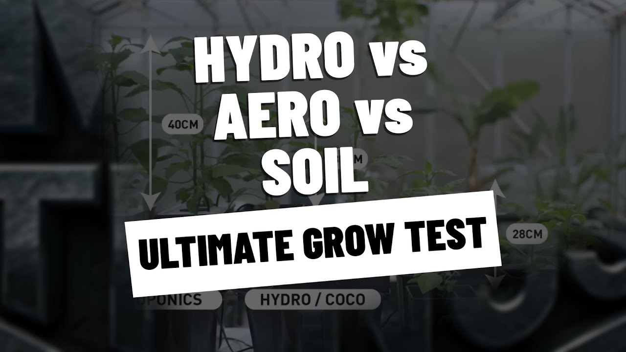 #40 - Hydroponics vs Aeroponics vs Soil Growing Systems