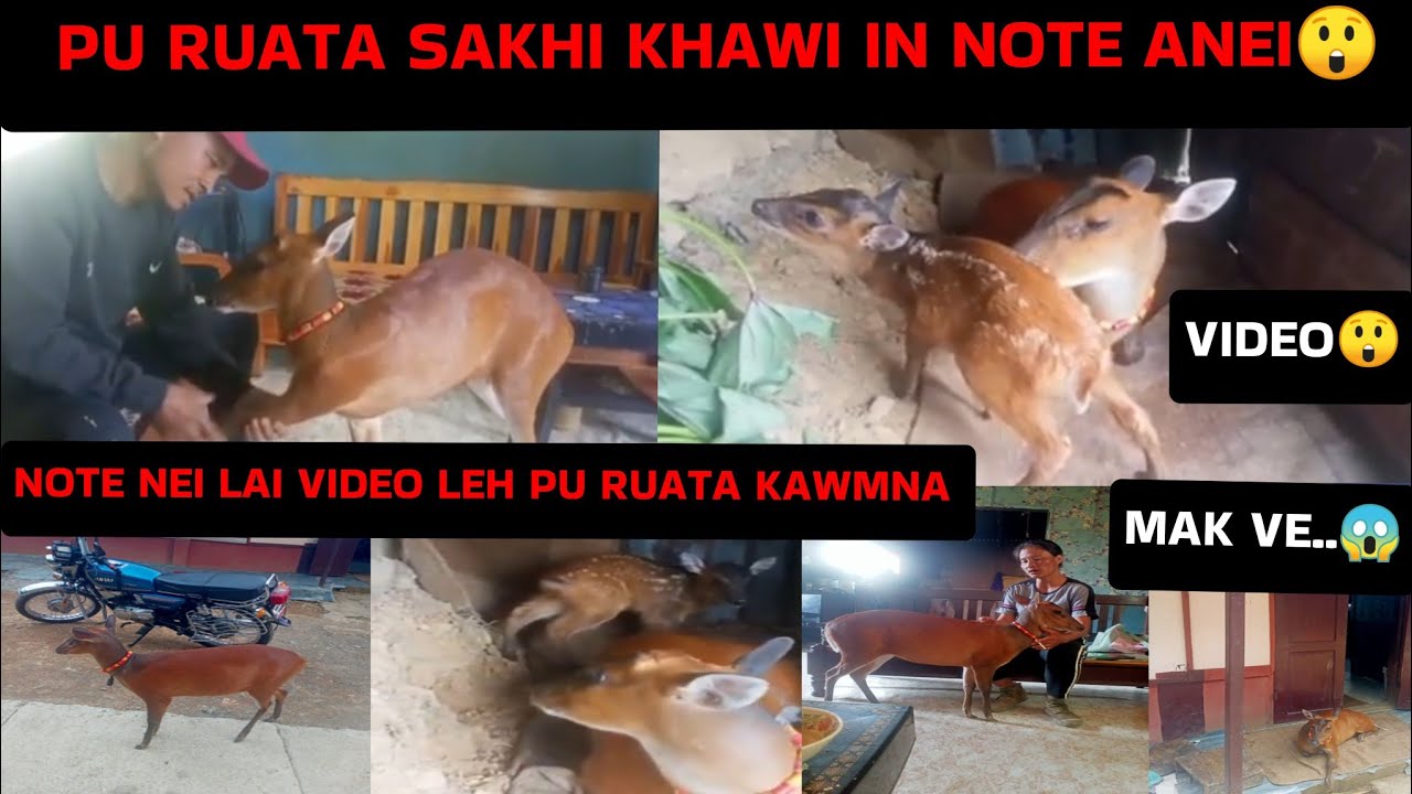 Pu Ruata Sakhi vulh in Note anei😲Aneilai Video leh amah kawmna lo thlir ve rawh le...