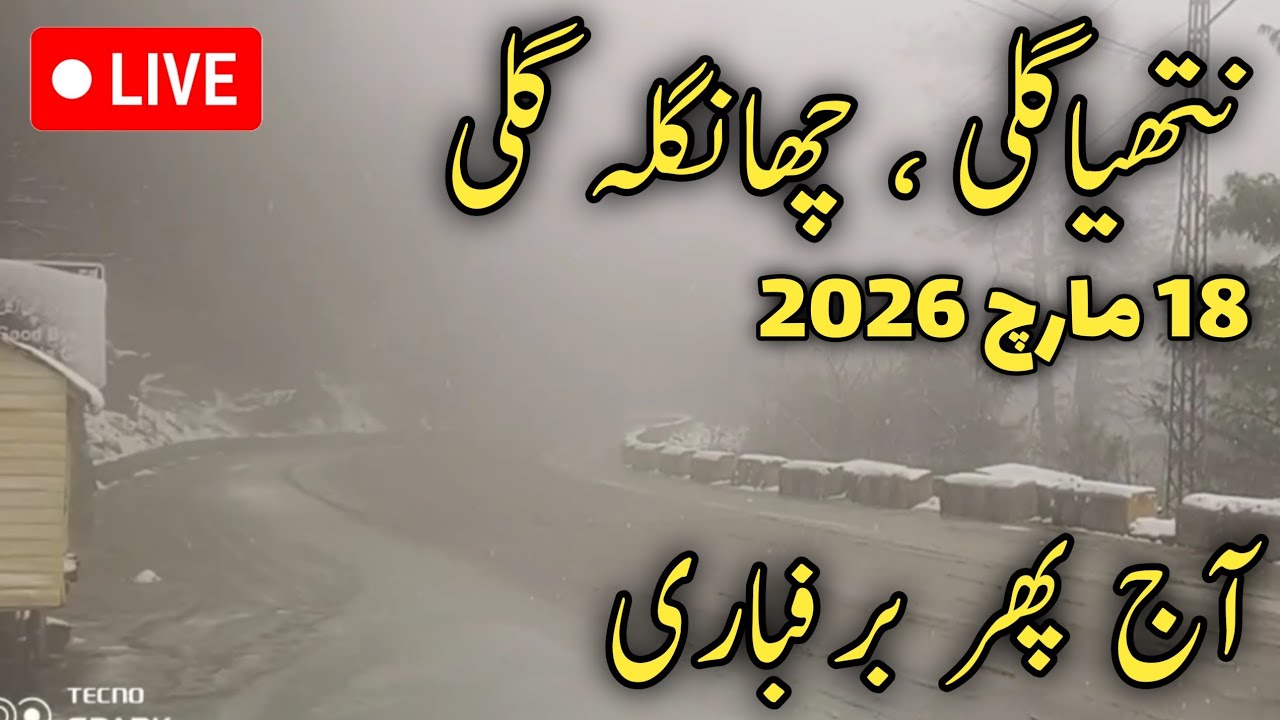 #nathiagali weather today | #murree nathiagali latest update | in nathiagali #snow possible on eid