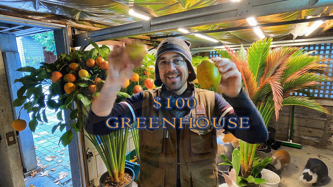 Tender perennials get a cozy greenhouse for the winter. West Coast - Vancouver Canada.