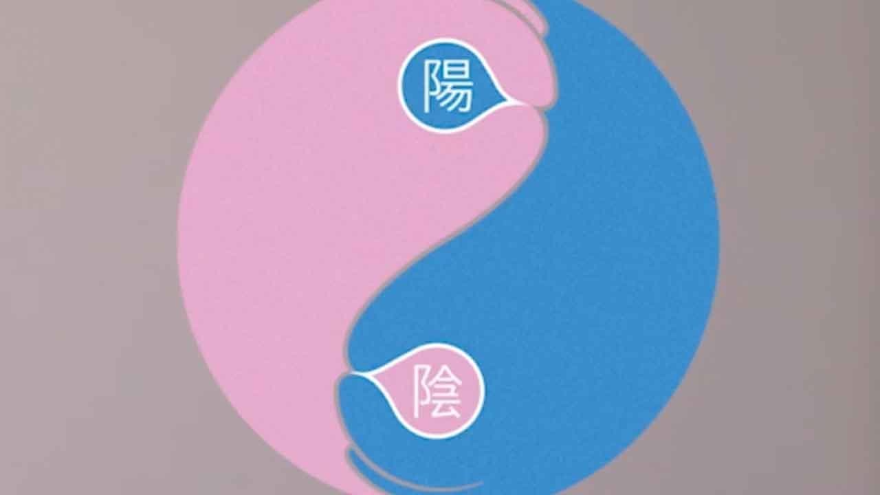 Chinese Wisdom with ShaoLan – Episode 3: Yin Yang | Thrive Global