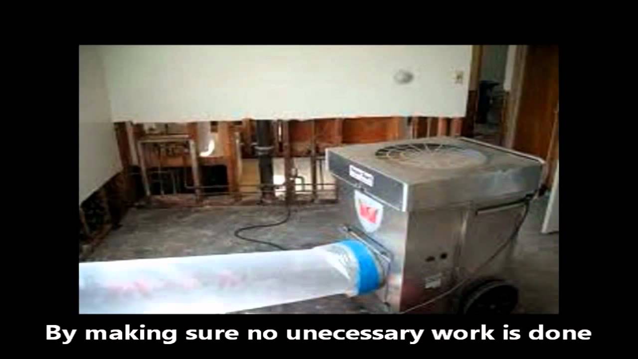 Mold Removal Chicago