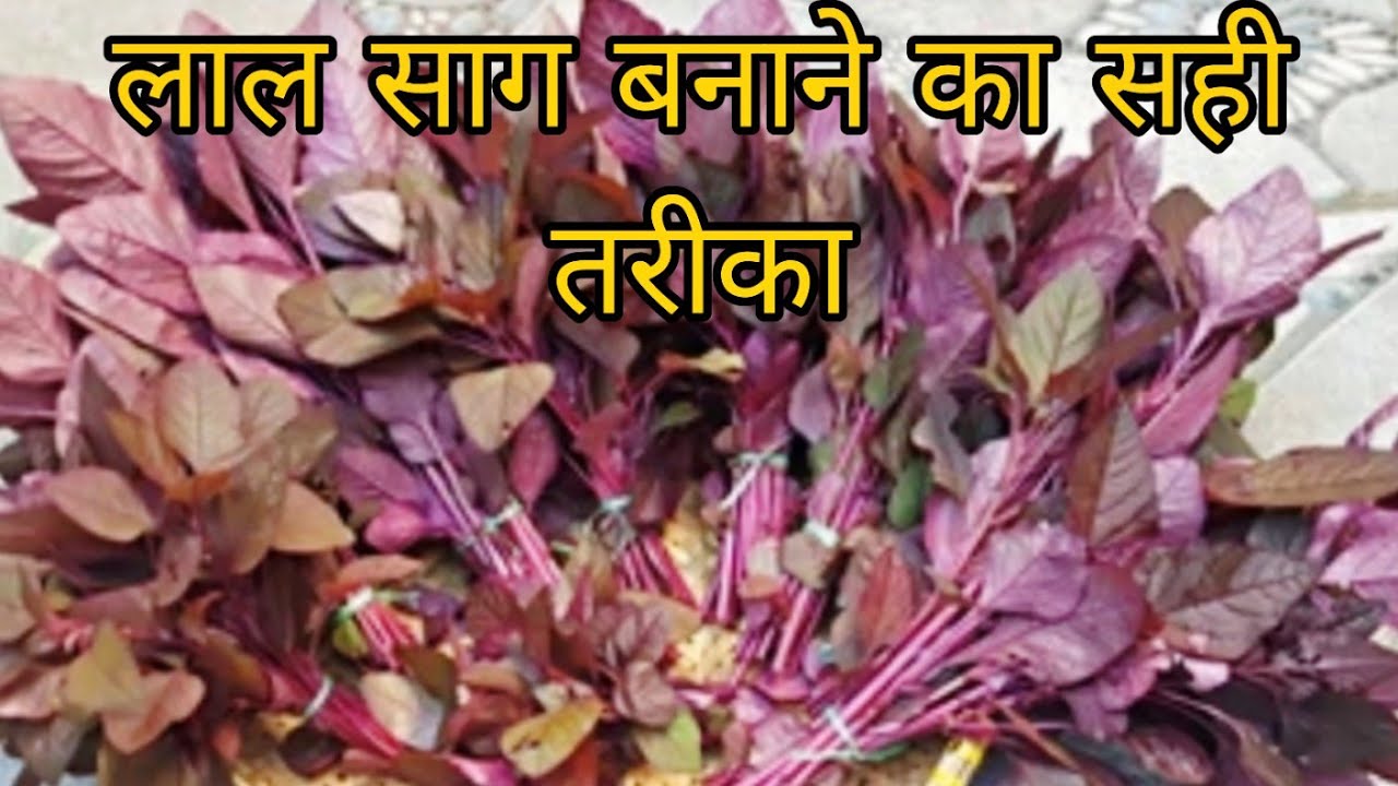 लाल साग बनाने का सही तरीका । जब इस तरीके से बनाएंगे । तो दो की जगह चार रोटियां खाएंगे 😋