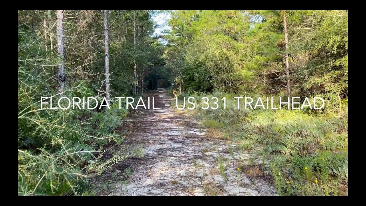 Hiking the Florida Trail - US 331 Section