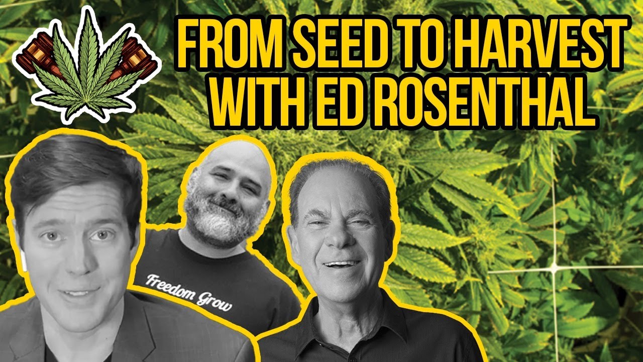 Growing Weed with Ed Rosenthal - Cannabis Seeds, Grow Lights, Curing | How to Grow Marijuana LEGALLY