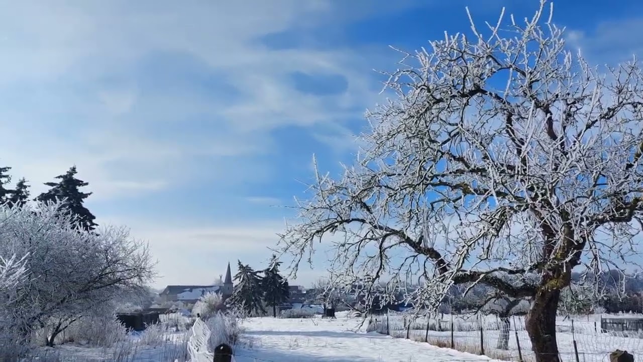 Februar 2026 - Der Winter macht eine kleine Pause