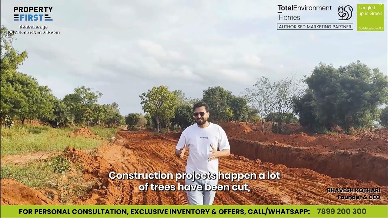 Total Environment Tangled Up in Green | Latest Construction Update 2025- 7899 200 300