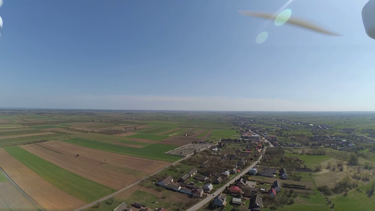 Rzeczni&oacute;wek z lotu . Aee ap9