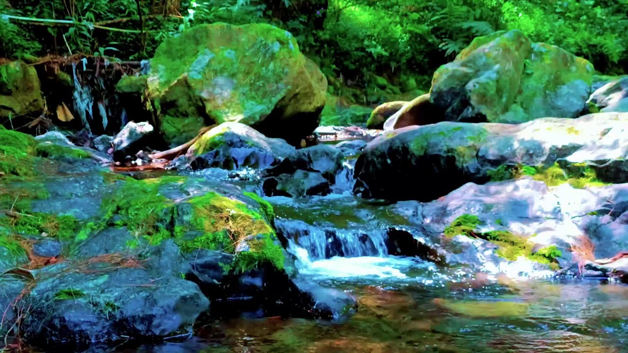 Flowing River Sounds for Deep Sleep and Relaxation with Calm Nature Ambience