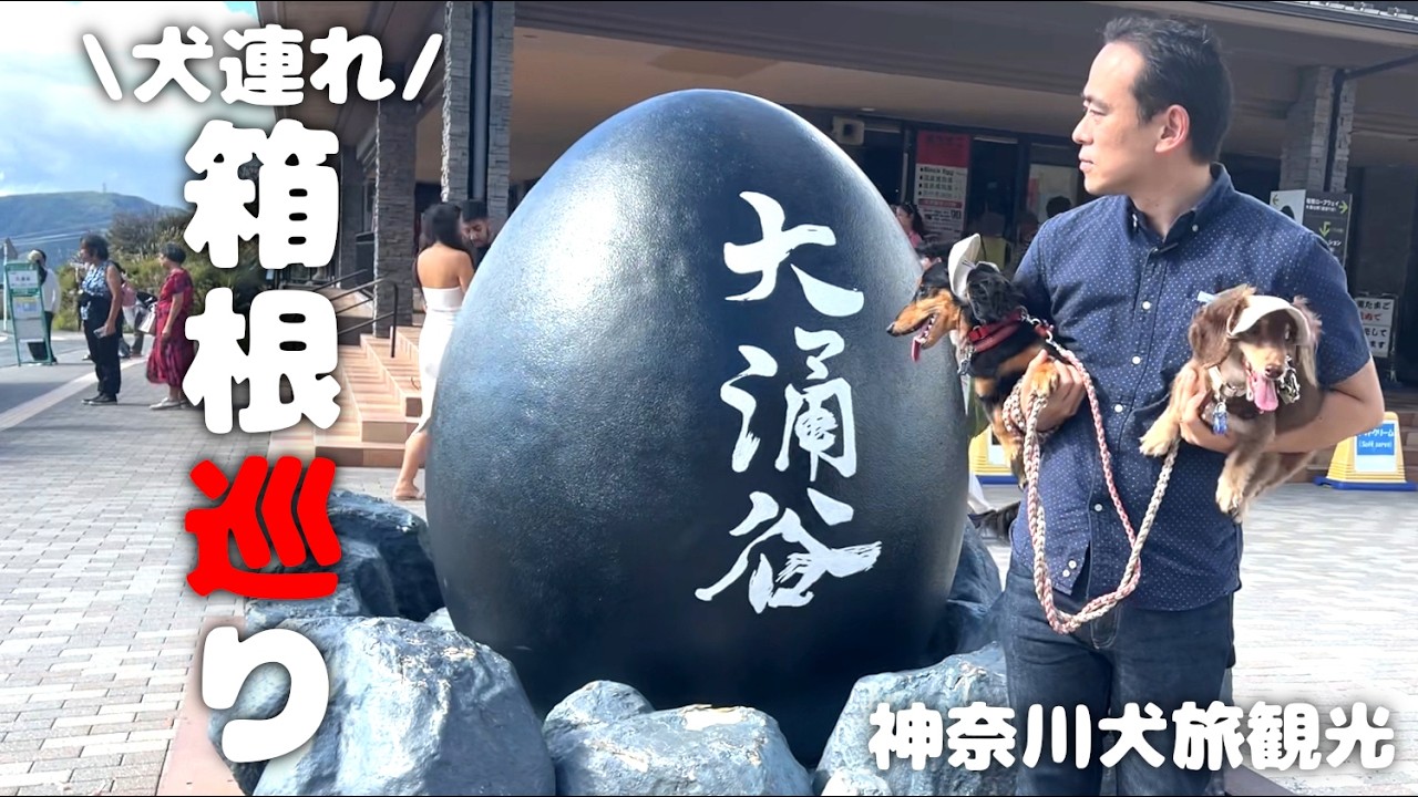 【犬連れ旅行神奈川箱根観光】芦ノ湖を見下ろす絶景ドッグランと何度も行きたくなる観光スポット🐶🐶🐾1泊2日わんこ旅1/3 2024.9