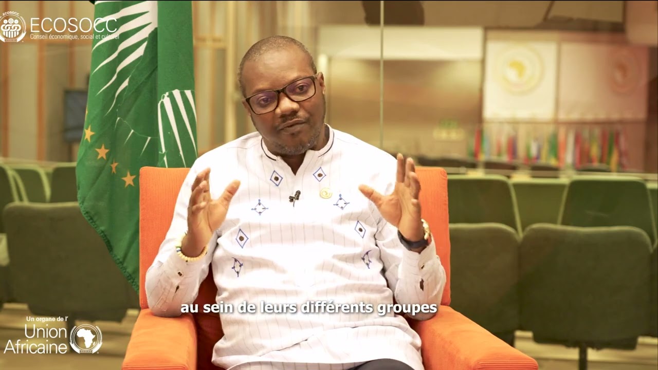 Le Conseil &Eacute;conomique, Social et Culturel s'implique dans la consolidation de la paix en Afrique