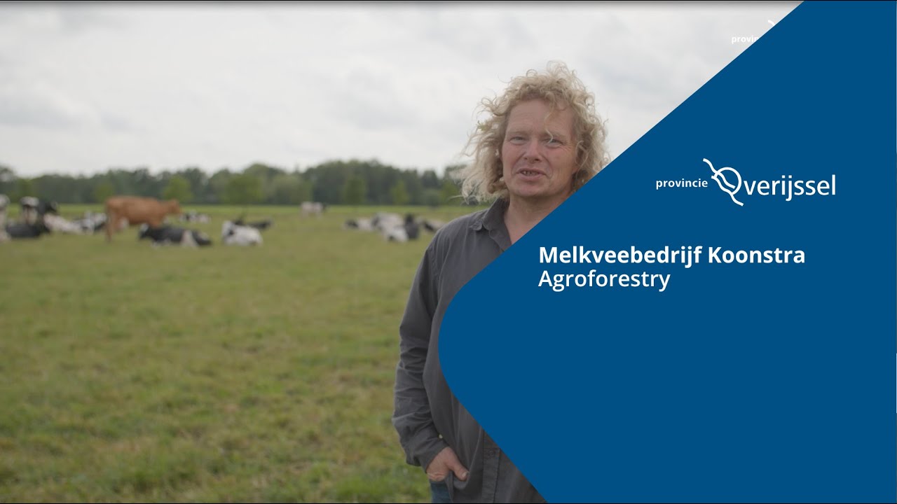 Provincie Overijssel | Agroforestry Melkveebedrijf Koonstra